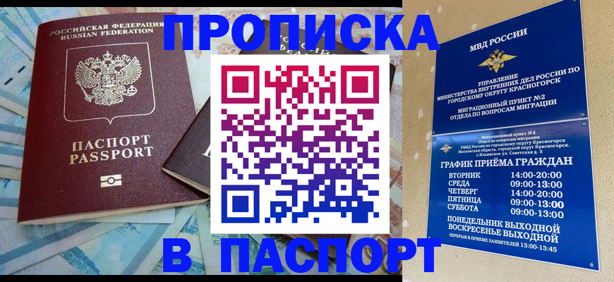 найти адрес прописки в Наволоках